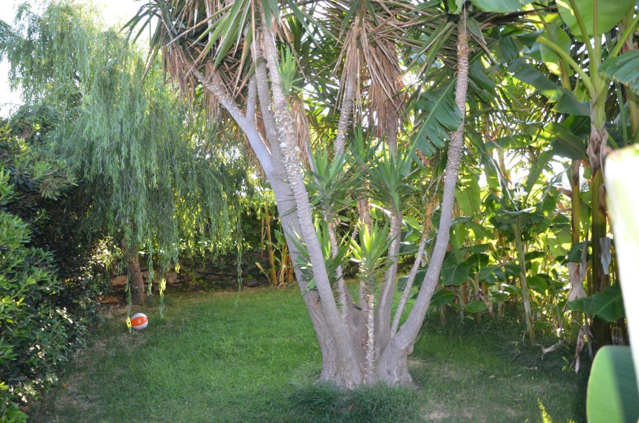 Apartment Thalassa